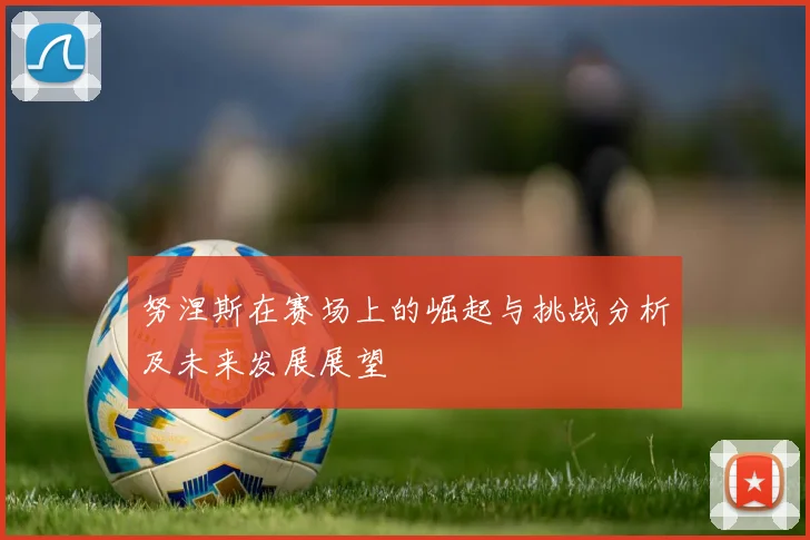 努涅斯在赛场上的崛起与挑战分析及未来发展展望