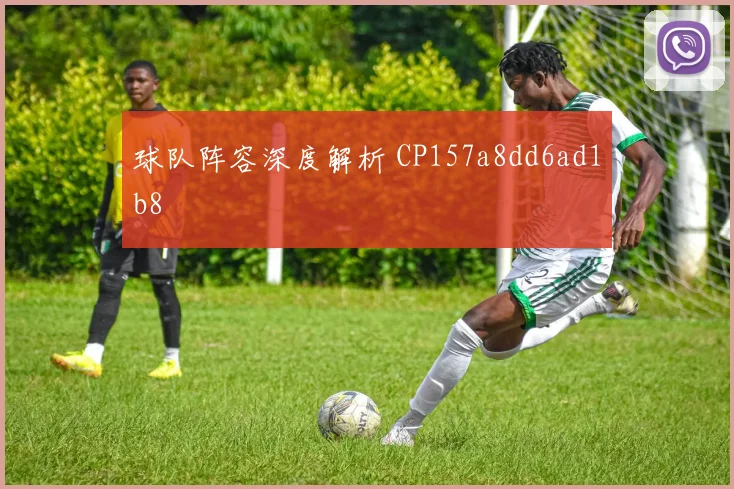 球队阵容深度解析 CP157a8dd6ad1b8