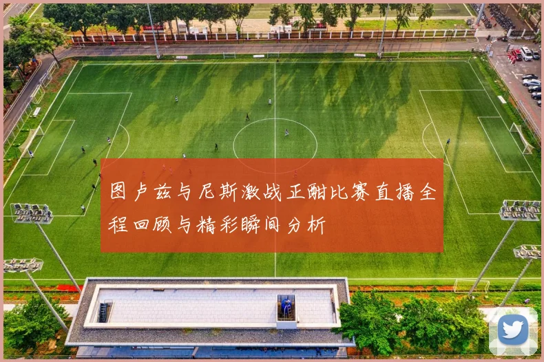 图卢兹与尼斯激战正酣比赛直播全程回顾与精彩瞬间分析