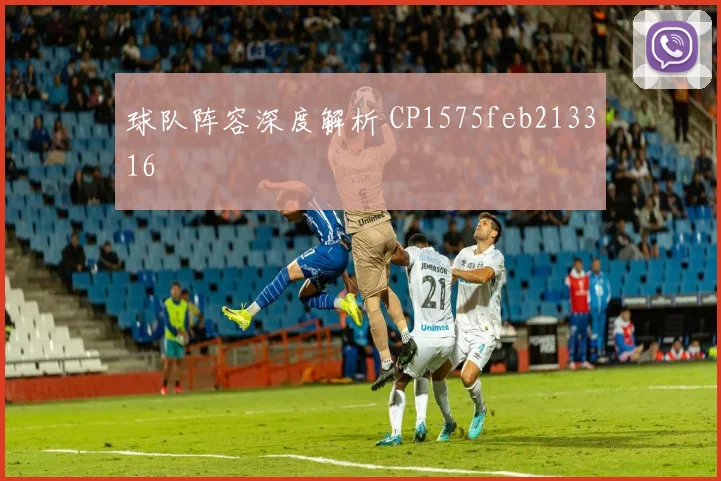 球队阵容深度解析 CP1575feb213316