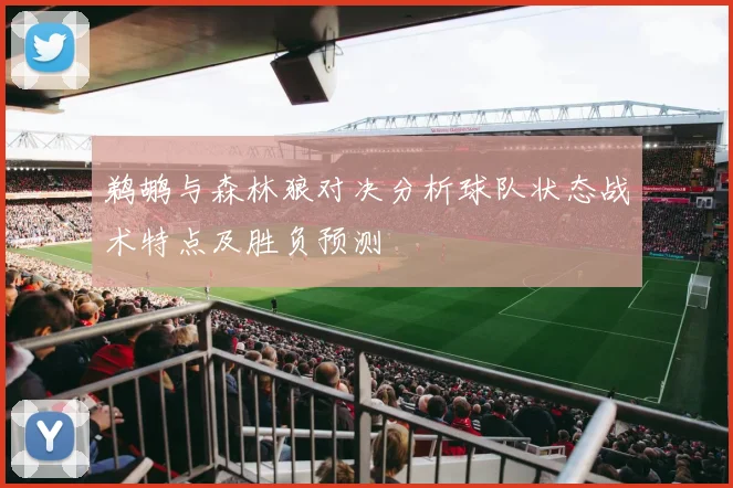 鹈鹕与森林狼对决分析球队状态战术特点及胜负预测
