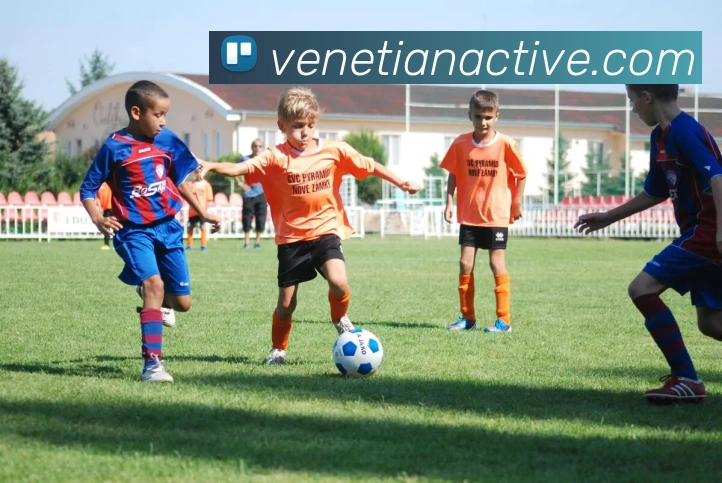 多媒体互动体验